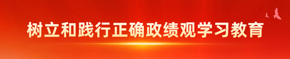 树立和践行正确政绩观学习教育